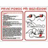 První pomoc při bezvědomí  7787 A3 plast