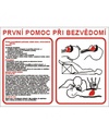 První pomoc při bezvědomí  7787 A3 plast