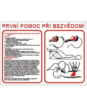 První pomoc při bezvědomí  A3 plast