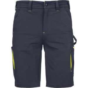 Kraťasy  L-SURE DAWSON pánské